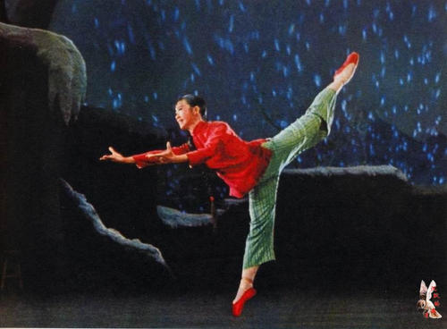 不动产证号怎么填